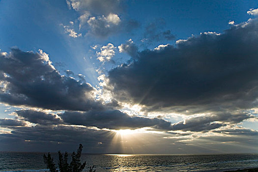 阳光,云,迈阿密海滩,美国