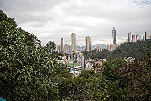香港,建筑,大楼,特色,富人,繁华,水泥森林,摩天大厦,拥挤,高密度,压力,孤岛,岛屿,海湾,中国