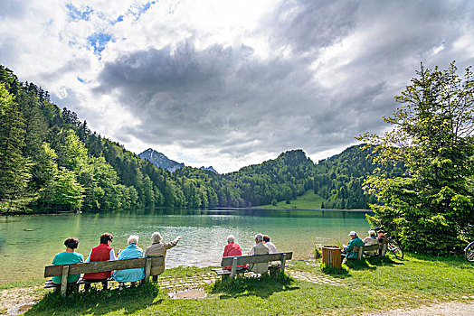 福森,老人,长椅,放松,湖,斯瓦比亚,巴伐利亚,德国