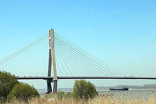 自然江河城市建筑桥梁立交桥长江岸边