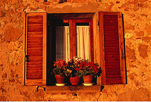 盆栽,窗台,托斯卡纳,意大利