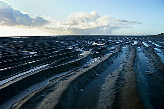 泥滩,北海