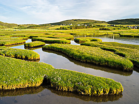 岛,沿岸,盐沼,靠近,日落,苏格兰,七月,大幅,尺寸