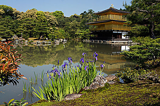 水塘,京都,日本