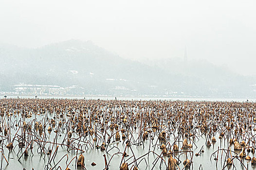 杭州西湖雪