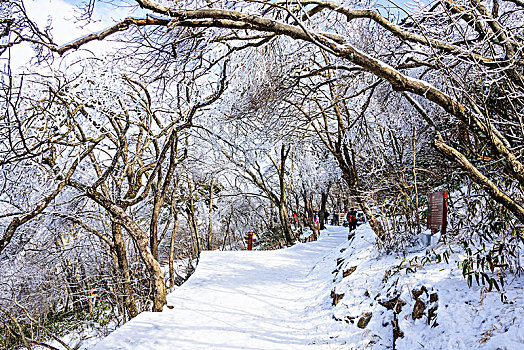 黄山雪凇风光