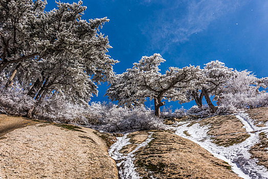 华山,雪景