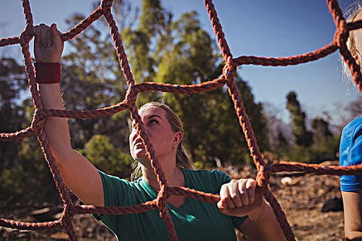健身,女人,攀登,网,障碍训练场,训练,露营