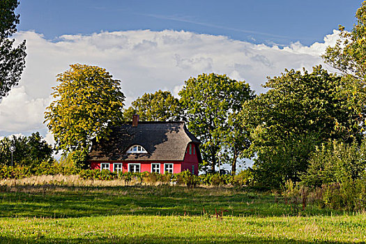 房子,岛屿,吕根,梅克伦堡前波莫瑞州,德国