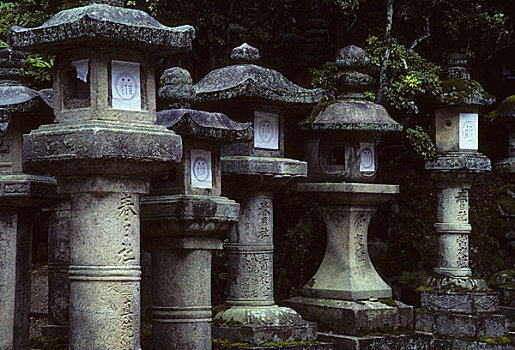 日本,奈良,神祠,石头,灯笼,遮盖,苔藓,日本神道