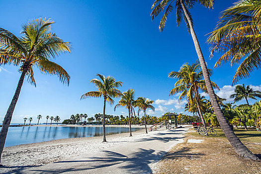 圆,海滩,迈阿密,佛罗里达,美国