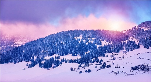 冬天,山,风景