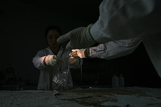 河南洛阳古墓博物馆,壁画修复人员在对壁画进行修复