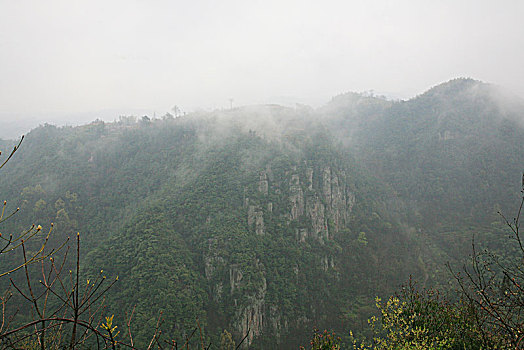 余姚大岚,丹山赤水,柿林村,茶场等