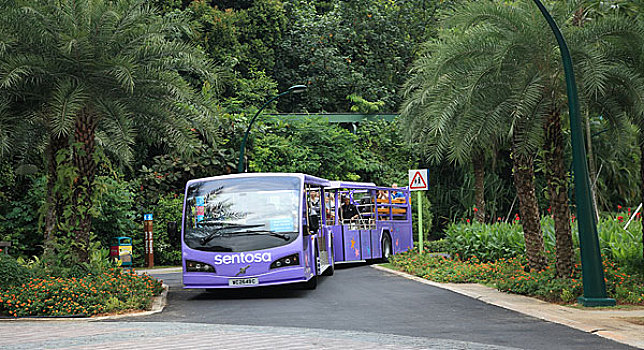 新加坡圣陶沙鱼尾狮观光车