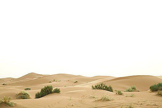 却比沙丘,沙丘,撒哈拉沙漠,摩洛哥