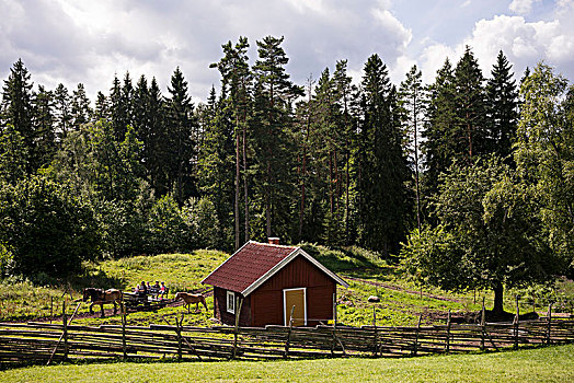 特色,瑞典,房子,树林,马,马车,南方