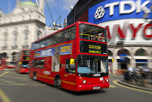 英格兰,伦敦,巴士,大,广告标识