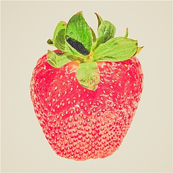 复古,看,草莓