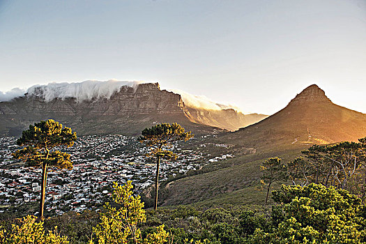 桌山,头部,开普敦,南非