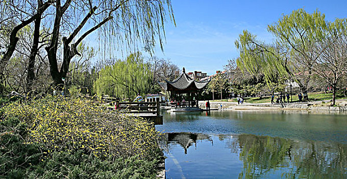 2016年3月27日北京西城区陶然亭公园