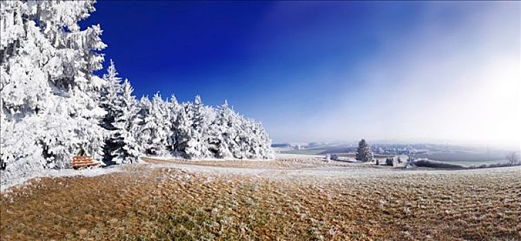 冬季风景,霜冻,边缘,靠近,艾希斯泰特,巴伐利亚,德国,欧洲