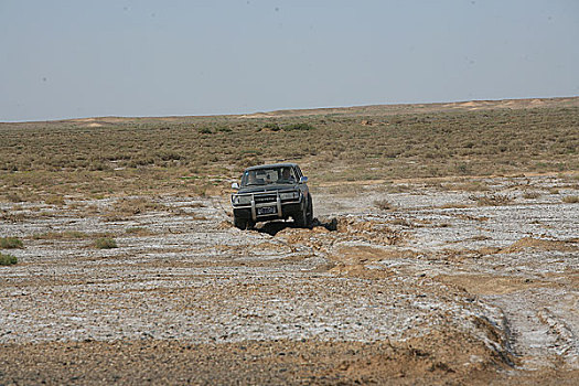 蒙古,内蒙交界的盐碱戈壁