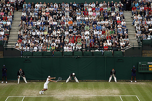英格兰,伦敦,温布尔登,看,比赛,球场,网球,冠军,2008年