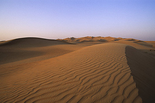 阿联酋,迪拜,沙漠,沙丘