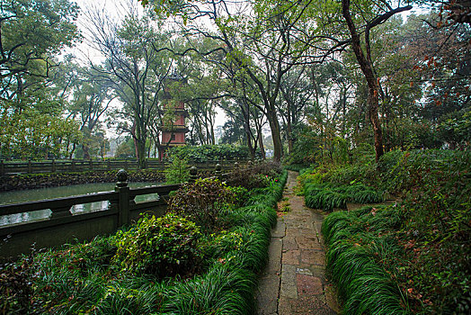 鄞州区,鄞州,阿育王寺,寺庙,寺院,古刹,宗教,建筑,古建筑,雨天,下雨,树木,秋天,水,天空,树