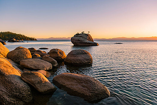 盆景,石头,小,树,水,日落,太浩湖,加利福尼亚,美国,北美