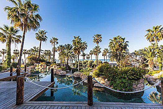 风景,游泳池,棕榈树,酒店,帕福斯,塞浦路斯