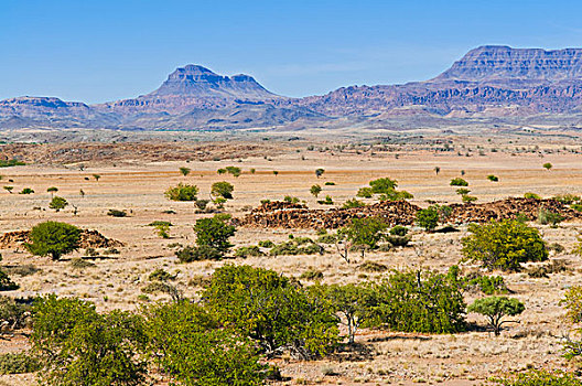 风景,荒漠景观,达马拉兰,区域,纳米比亚,非洲
