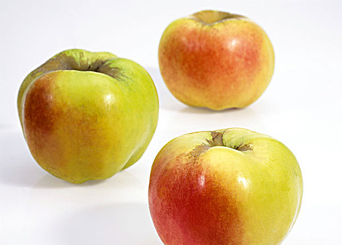 苹果,水果,白色背景