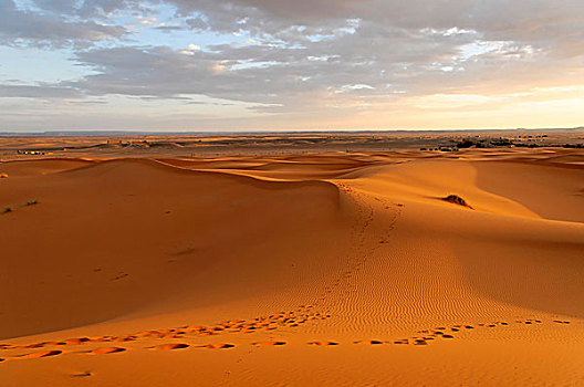 却比沙丘,沙漠,梅如卡,摩洛哥,非洲