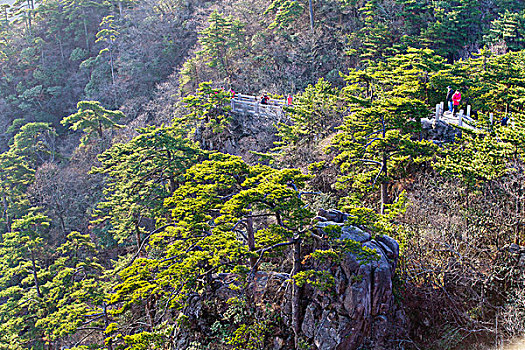 黄山,自然风光