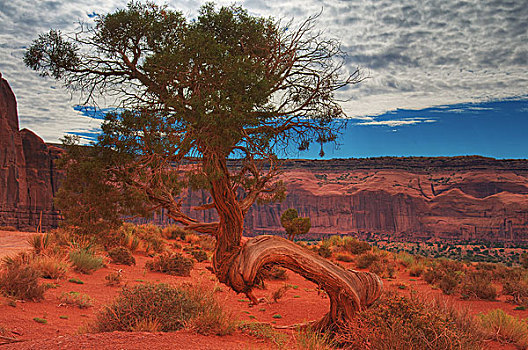 monument,valley