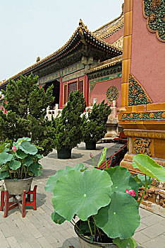 故宫,皇宫,北京,中国