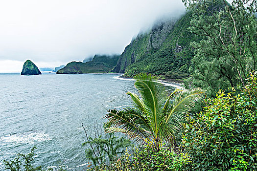 美国,夏威夷,莫洛凯岛,雾状,海岸,大幅,尺寸