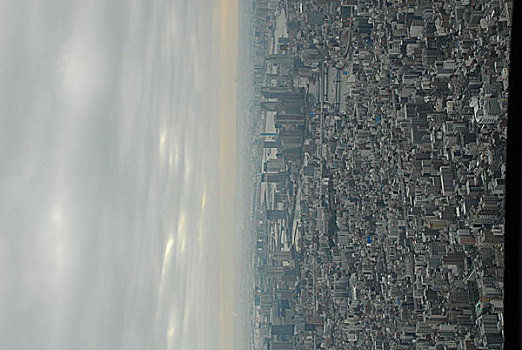 东京,天空,树,观测