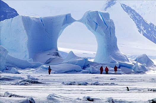 游客,看,冰层,南极