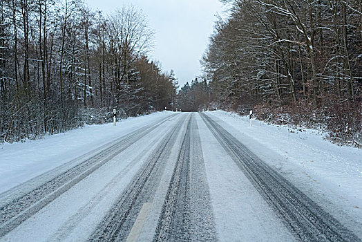 雪,乡间小路,冬天,奥登瓦尔德,巴登符腾堡,德国