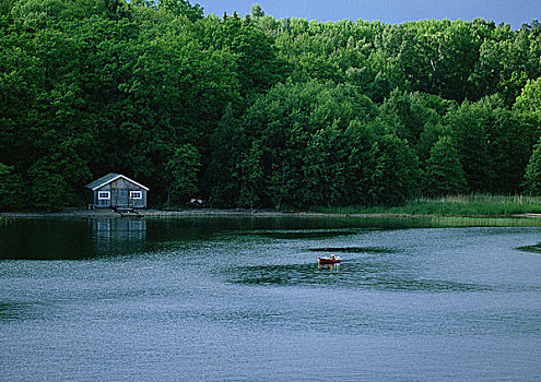 芬兰,小屋,边缘,湖