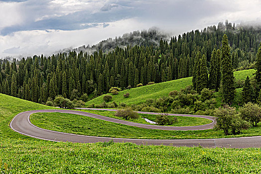 公路,地平线,道路,交通