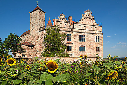 城堡,正面,花园,中间,弗兰克尼亚,巴伐利亚,德国,欧洲