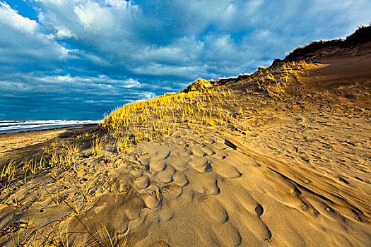 沙丘,海滩,爱德华王子岛,国家公园,加拿大