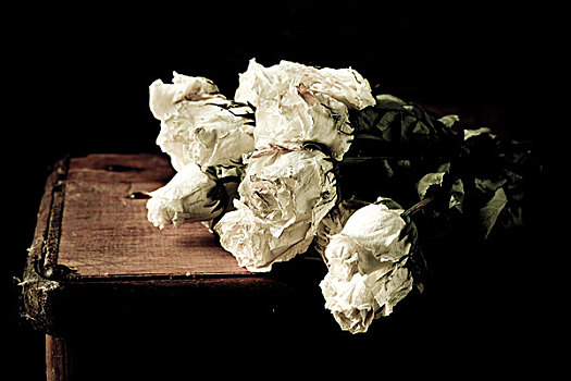 束,白色,玫瑰