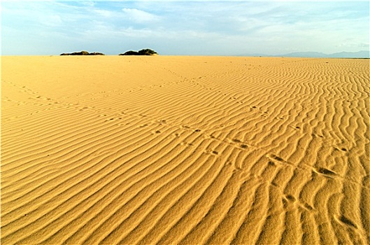 沙子,波纹,脚印