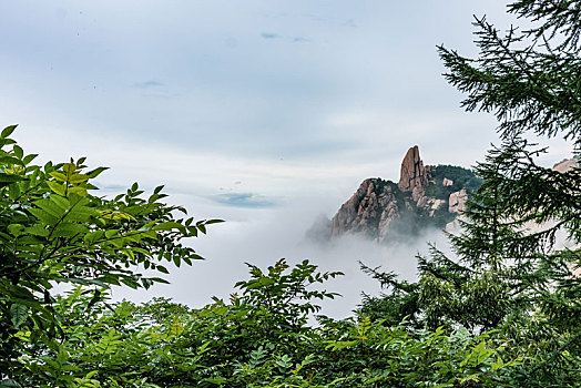 中国山东青岛崂山景区云海