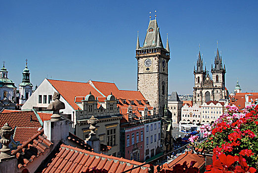 老市政厅,提恩教堂,酒店,王子,平台,老,城镇,布拉格,老城,捷克共和国,欧洲